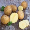 Bild setzkartoffeln-otolia-biogartenversand_15613.jpg