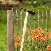 Bild shw-schmiedehacke-gartenhacken_5231.jpg
