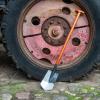 Bild shw-spaten-geestemuender-form-biogartenversand_16611.jpg
