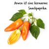 Bild snackpaprika-saatgut-arwen_14789.jpg