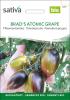 Bild tomate-brads-atomic-grape-saatgut_19539.jpg