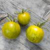 Bild tomatenpflanze-green-zebra-kaufen.jpg