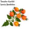 Bild: tomatenpflanze-sunrise-bumblebee.jpg 