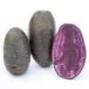 Bild violetta_kartoffeln_c_12986.jpg