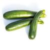 Bild zucchini_gruen_mutabile_b_12524.jpg