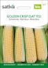Bild zuckermais-golden-crisp-saatgut_19570.jpg